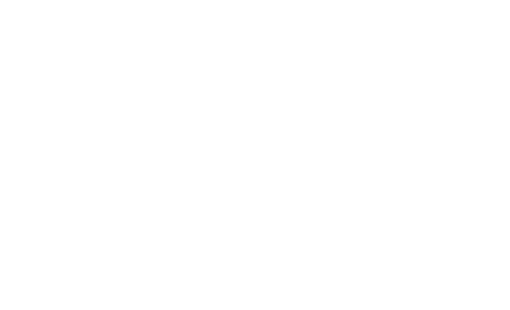 Metropol Osgb